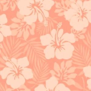 Meet your Posher, Eva